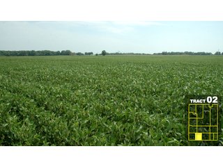 Property photo 9 - Land Auction 1035 Acres In 16 tracts - Farm Land - Sullivan Co. Indiana & Clark Co., Illinois